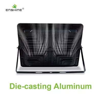 enshine-official_20250410112057