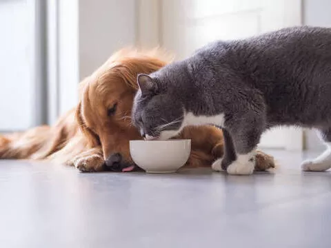 hardsun_20230607092308