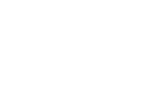 Rising-Fortune Pet Supplies